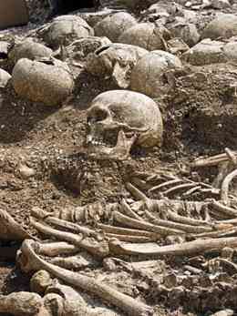 viking mystery archaeology news network